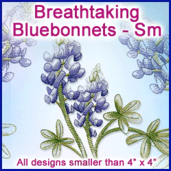 A Breathtaking Bluebonnets Design Pack - Image 3
