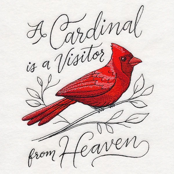 A Cardinal is a Visitor from Heaven - Image 2