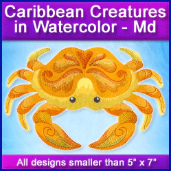 A Caribbean Creatures in Watercolor Design Pack - Image 2
