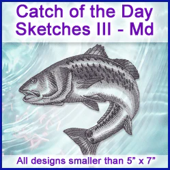 A Catch of the Day Sketches III Design Pack - Image 2