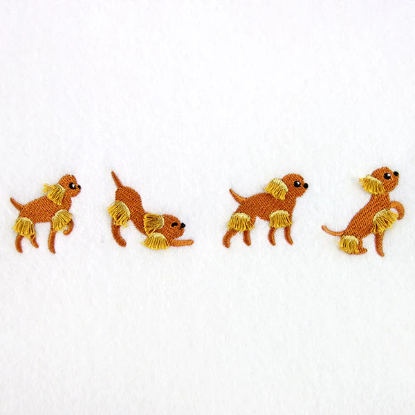 A Dog's Life Border (Fringe) - Image 2