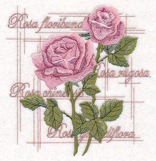 A Rose By Any Other Name - Image 2