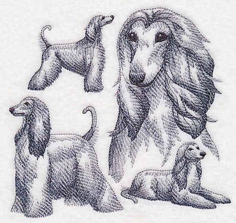 Afghan Hound Sketch - Image 3