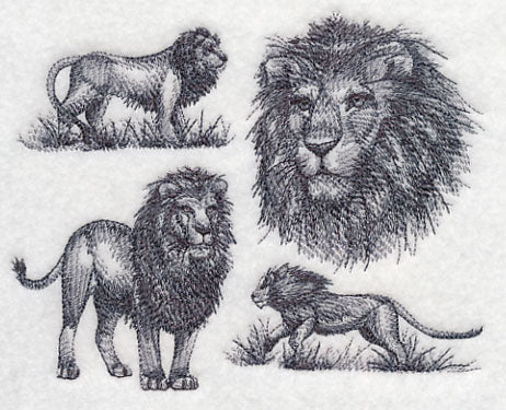 African Lion Sketch - Image 4