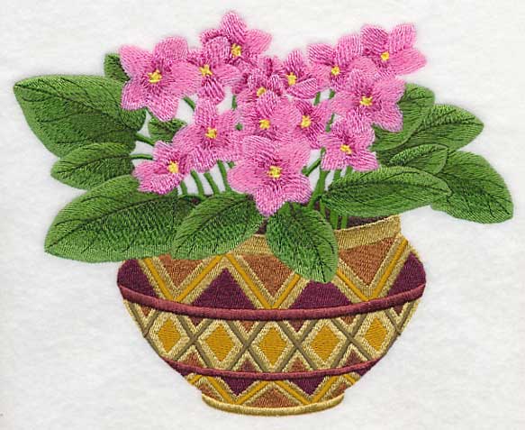 African Violets 1 - Image 4