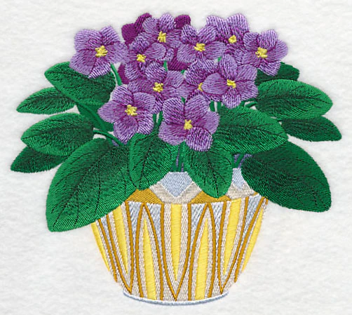 African Violets 2 - Image 2