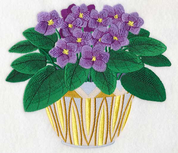 African Violets 2 - Image 4