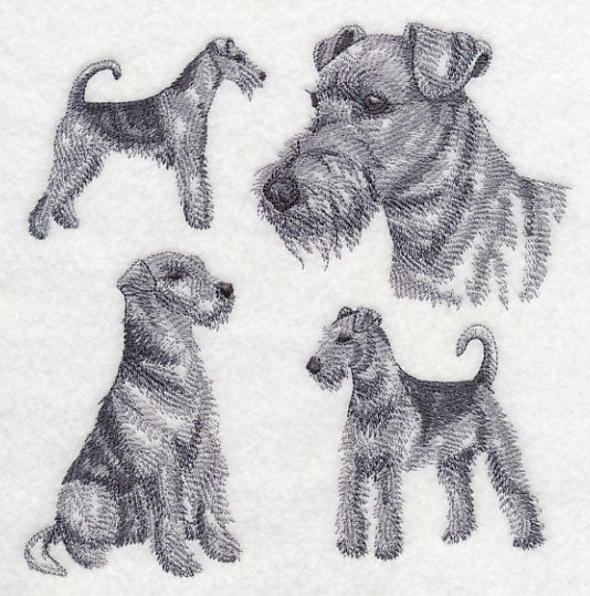Airedale Sketch - Image 2