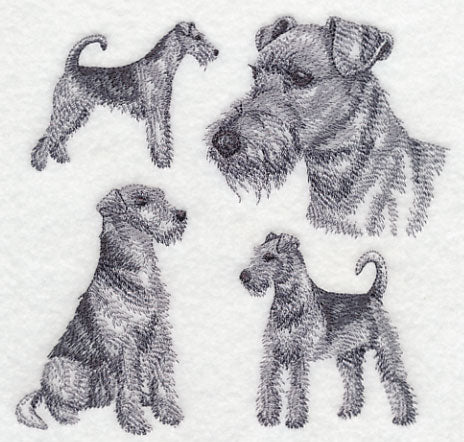 Airedale Sketch - Image 3