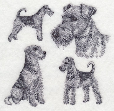 Airedale Sketch - Image 4