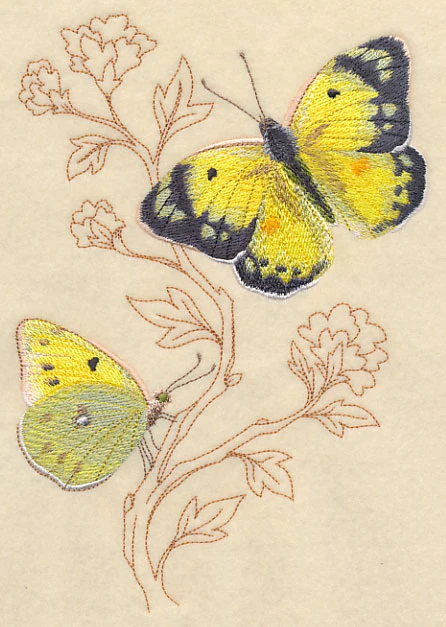 Alfalfa Butterfly on Delicate Branches - Image 2