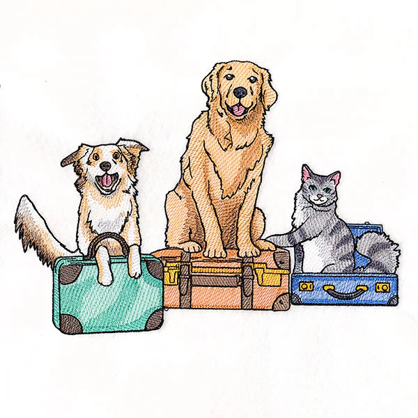 All Packed Up Pets - Image 4