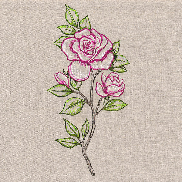 Alluring Roses