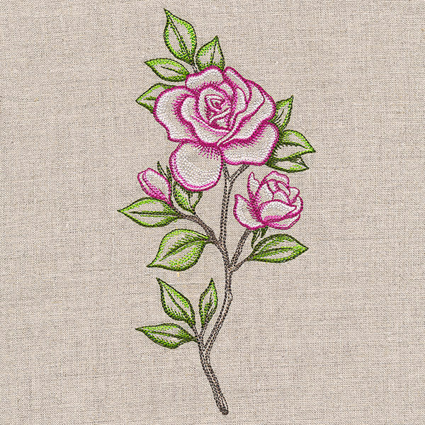Alluring Roses - Image 7