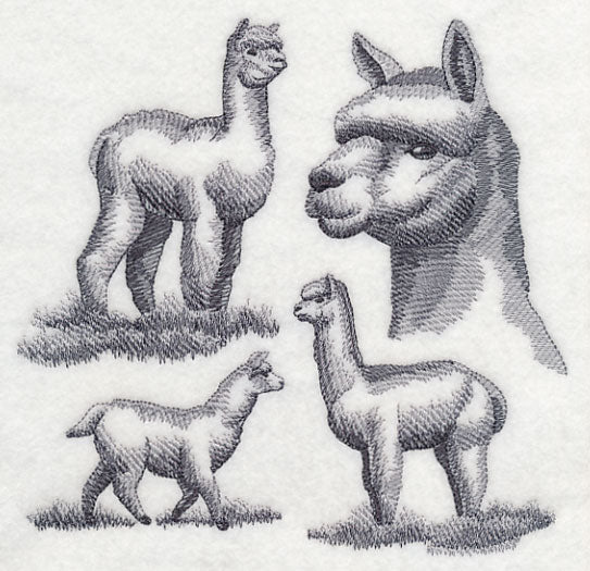 Alpaca Sketch - Image 2