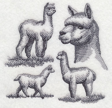 Alpaca Sketch - Image 4