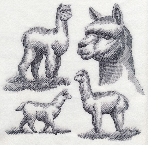 Alpaca Sketch - Image 5