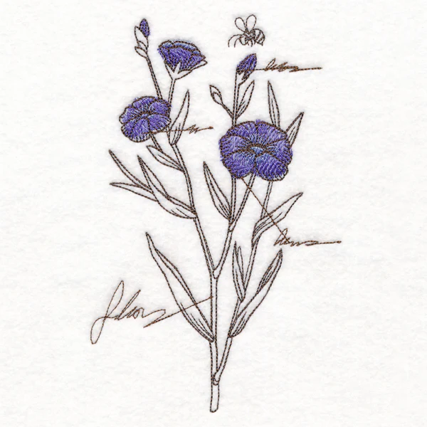 Alpine Flax Botanicals - Image 3