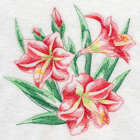 Amaryllis Sketch - Image 3