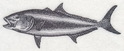 Amberjack Sketch - Image 2