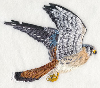 American Kestrel in Flight - Image 3
