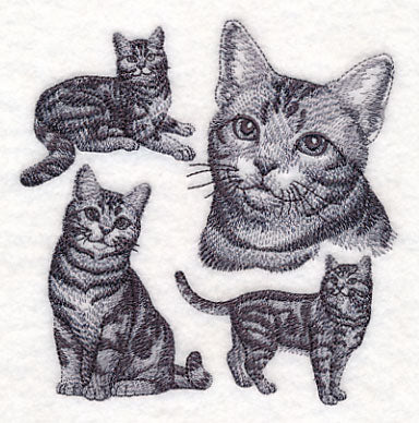 American Shorthair Cat Sketch - Image 4