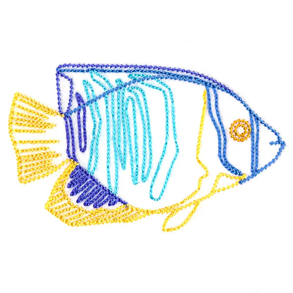 Angelfish at Sea - Image 3