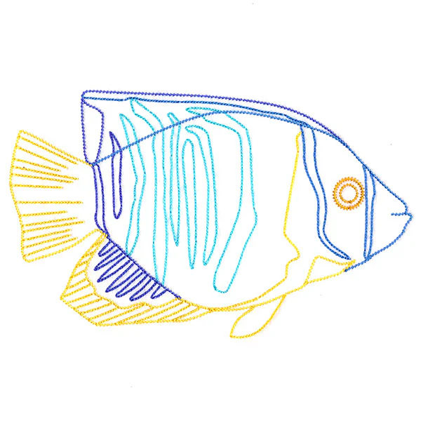 Angelfish at Sea - Image 4