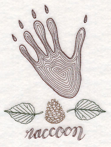 Animal Tracks - Raccoon (Vintage) - Image 3