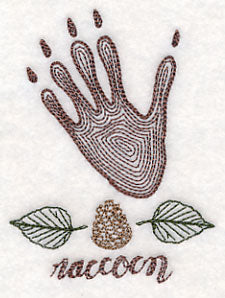 Animal Tracks - Raccoon (Vintage) - Image 4