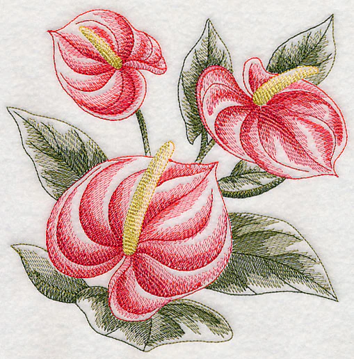 Anthurium Sketch - Image 2