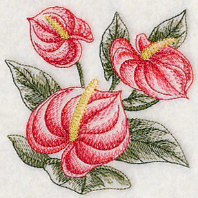 Anthurium Sketch - Image 5