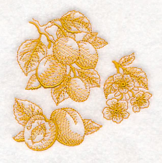 Apricot Botanical (Toile) - Image 5