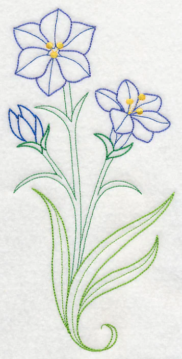 Aristea Africana (Vintage) - Image 5