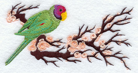 Asian Parakeet Border - Image 2
