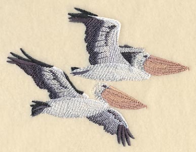 Australian Pelicans in Flight - Image 3