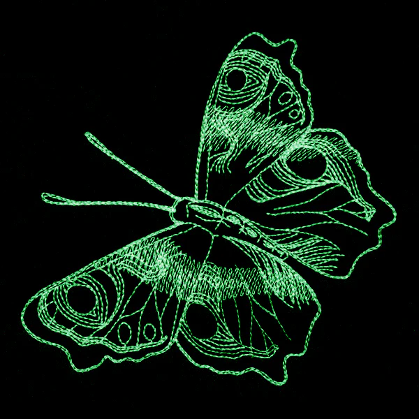 Autumn Glow - Butterfly - Image 8