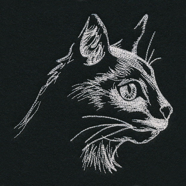 Autumn Glow - Cat - Image 7