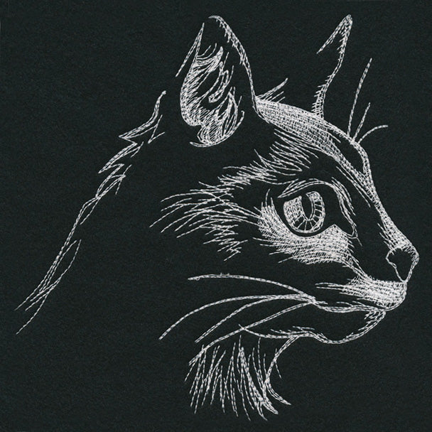 Autumn Glow - Cat - Image 9
