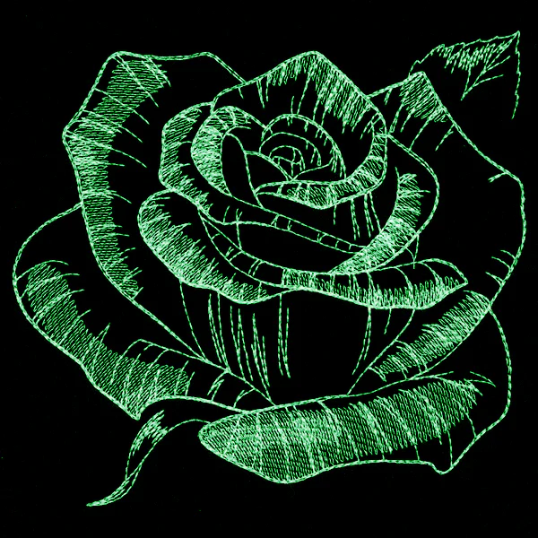 Autumn Glow - Rose - Image 4