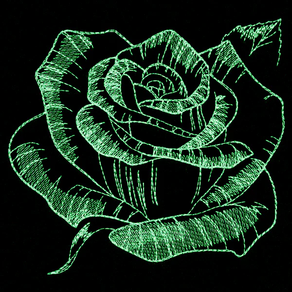 Autumn Glow - Rose - Image 6