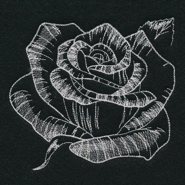Autumn Glow - Rose - Image 7