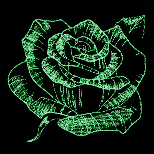 Autumn Glow - Rose - Image 8