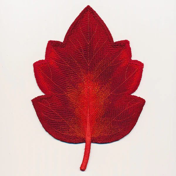 Autumn Hawthorn Leaf (In-the-Hoop) - Image 2