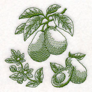 Avocado Botanical (Toile) - Image 5