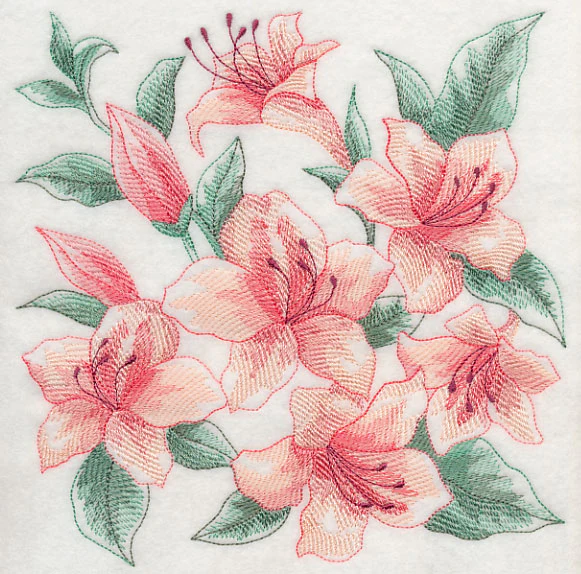 Azalea Sketch