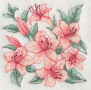 Azalea Sketch - Image 5