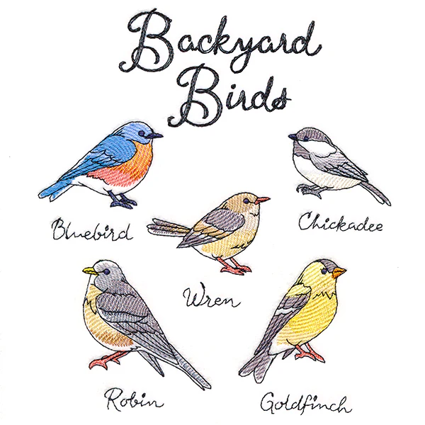 Backyard Birds - Image 4