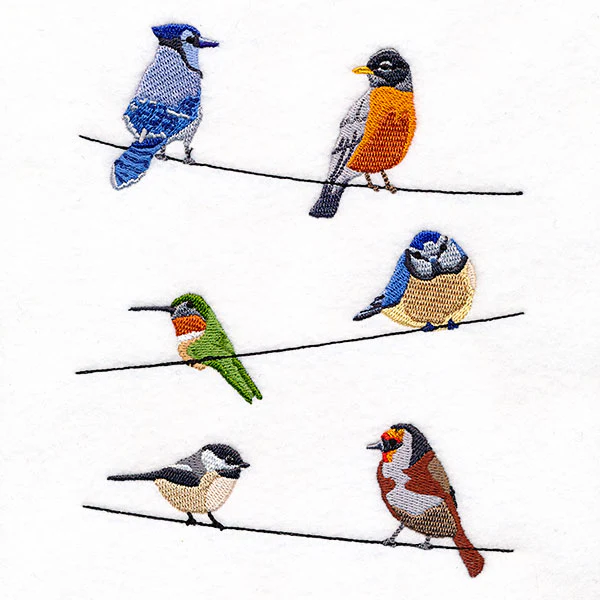 Backyard Birds on a Wire Feature - Image 2