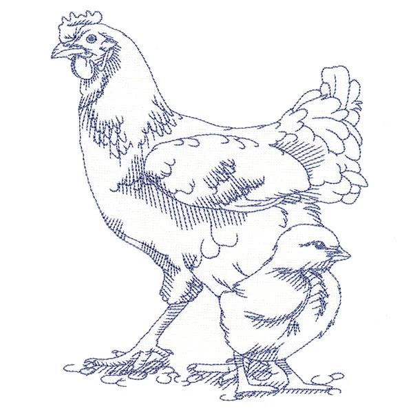 Barnyard Etchings - Hen and Chick - Image 3